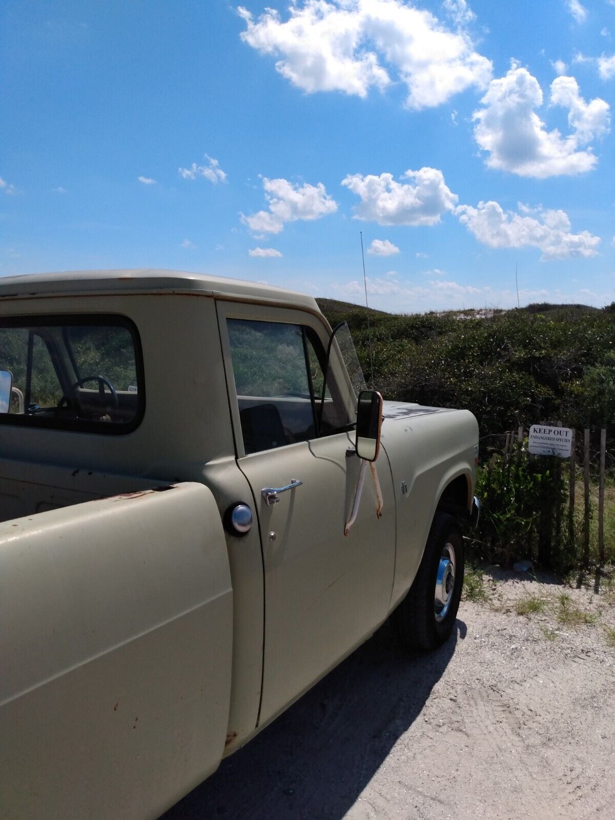 International-Harvester-12-Ton-Pickup-1974-3