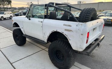 International-Harvester-Scout-1979-2