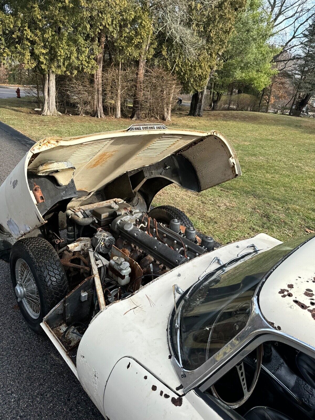 Jaguar-E-Type-Coupe-1967-12