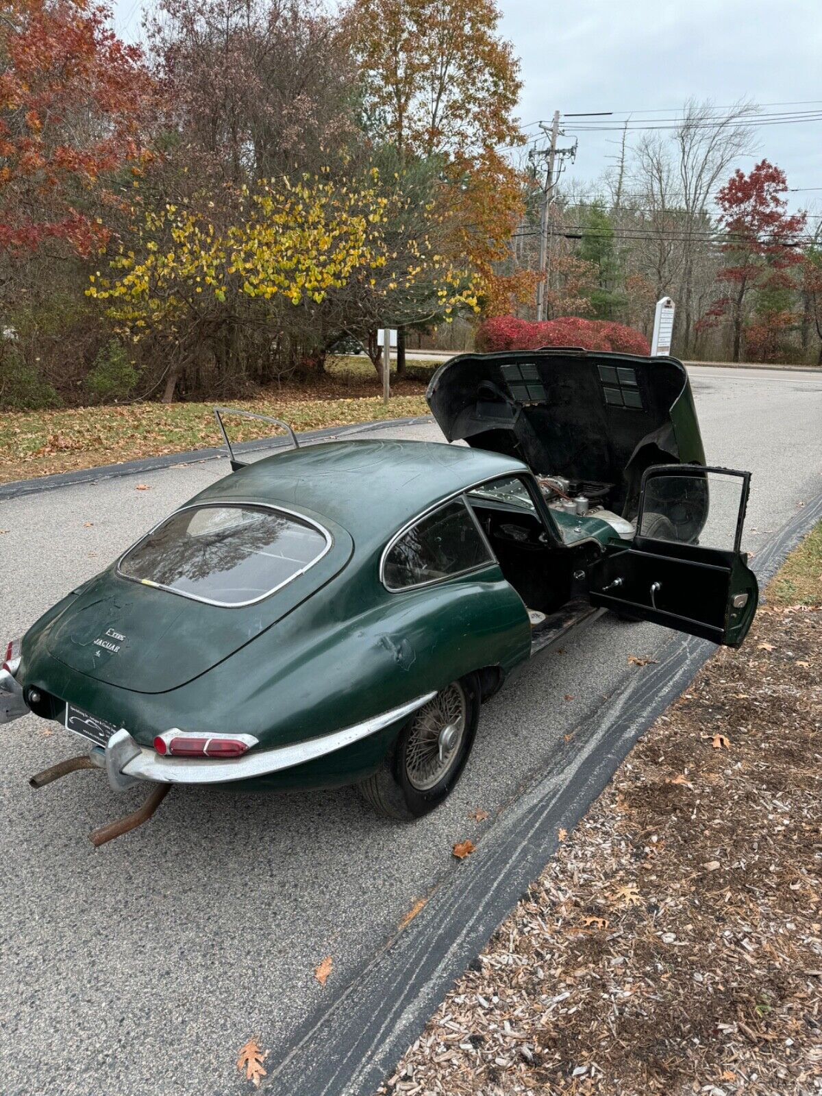 Jaguar-E-Type-Coupe-1967-17