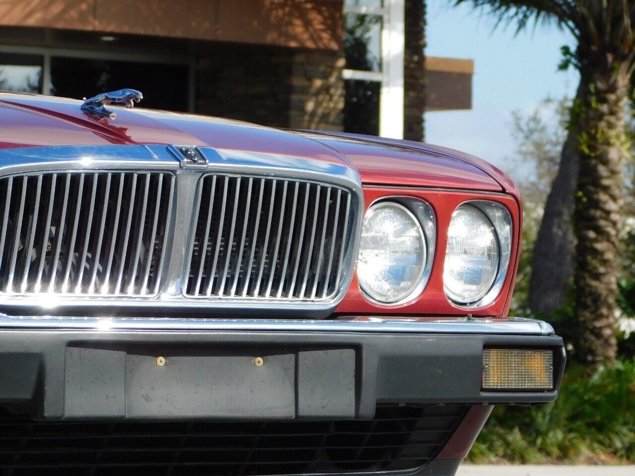 Jaguar-XJ6-1989-8