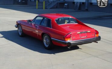 Jaguar-XJS-1983-4