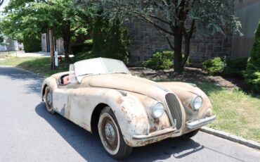 Jaguar XK  1950