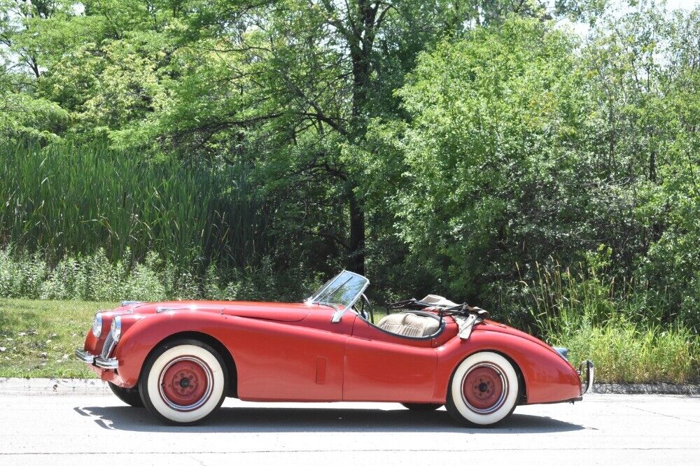 Jaguar-XK-1952-2