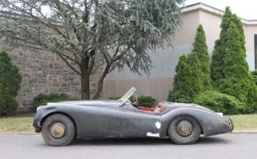 Jaguar-XK120-Roadster-1952-3