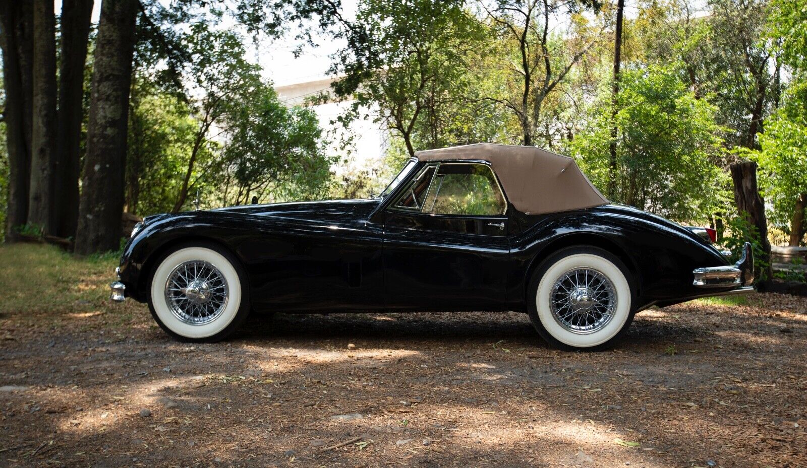 Jaguar-XK140-Cabriolet-1956-4