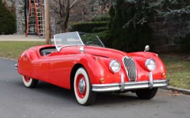 Jaguar XK140 Roadster  1954