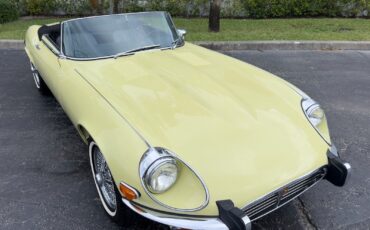 Jaguar-XKE-Roadster-1973-14