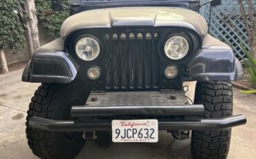 Jeep-CJ-1979-8