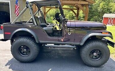 Jeep CJ  1981