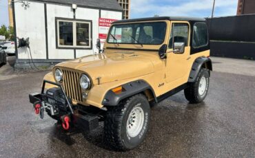 Jeep-Cj-7-1976-1