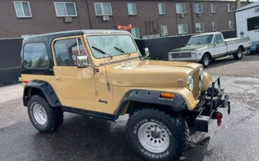 Jeep-Cj-7-1976-17