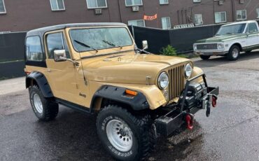 Jeep-Cj-7-1976-18