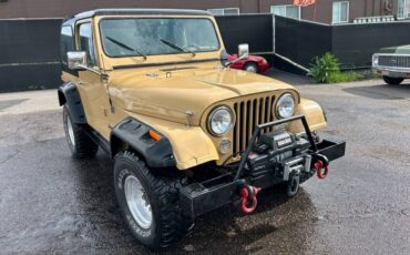 Jeep-Cj-7-1976-19