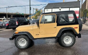 Jeep-Cj-7-1976-3