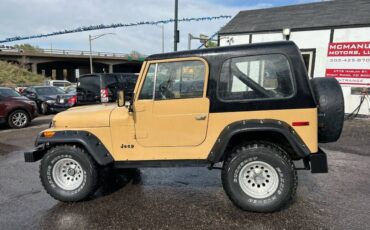 Jeep-Cj-7-1976-4