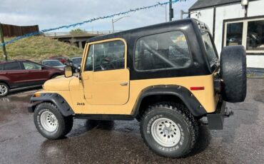 Jeep-Cj-7-1976-5