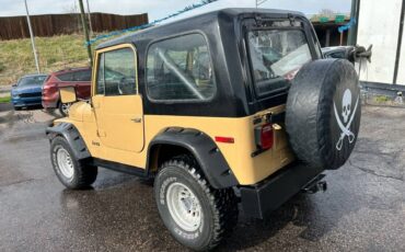 Jeep-Cj-7-1976-6