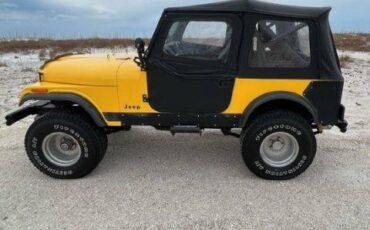 Jeep-Cj-7-1978-3