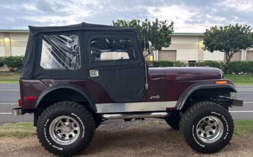 Jeep-Cj5-1975-2