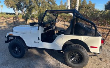 Jeep-Cj5-1976-1