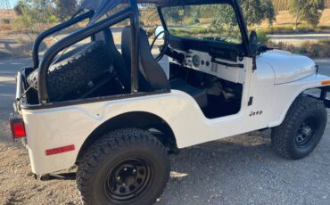 Jeep-Cj5-1976-4