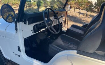 Jeep-Cj5-1976-6