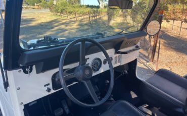 Jeep-Cj5-1976-7