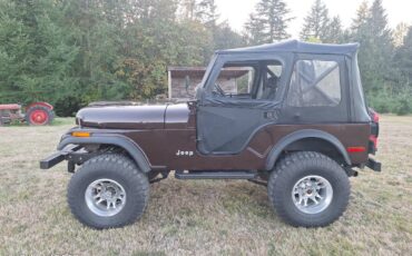 Jeep-Cj5-1980-11