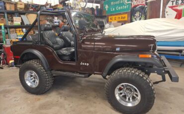 Jeep-Cj5-1980-12