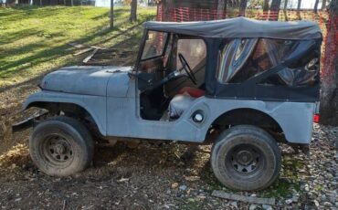 Jeep-Cj5-willyz-1955