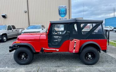 Jeep-Cj6-1974-1