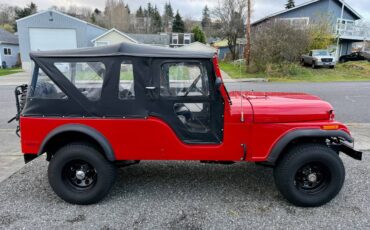 Jeep-Cj6-1974-5