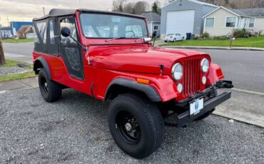 Jeep-Cj6-1974-6