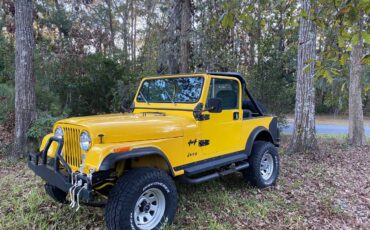 Jeep-Cj7-4x4-1985-9