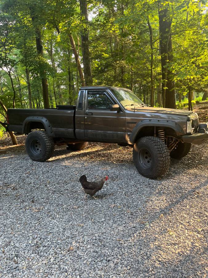 Jeep-Comanche-1986-9