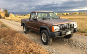 Jeep-Comanche-eliminator-1990-3