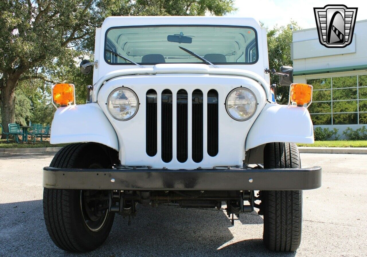 Jeep-DJ-Series-1974-10