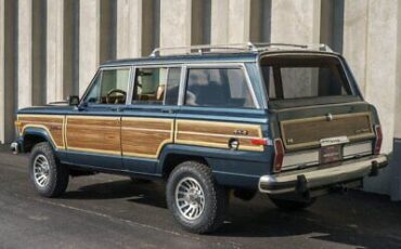 Jeep-Grand-Wagoneer-1988-6