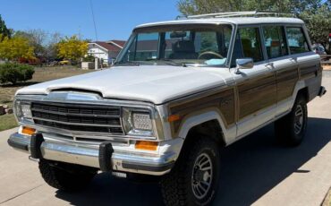 Jeep-Grand-wagoneer-1988-15