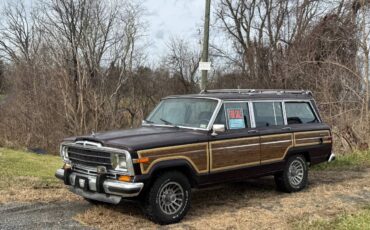 Jeep-Grand-wagoneer-1990-1