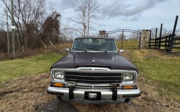 Jeep-Grand-wagoneer-1990-4