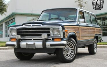 Jeep-Wagoneer-Cabriolet-1989-3