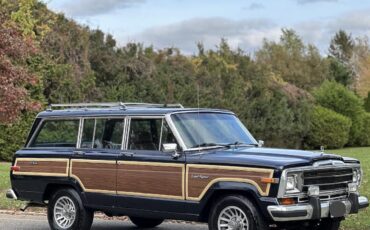 Jeep-Wagoneer-SUV-1988-12