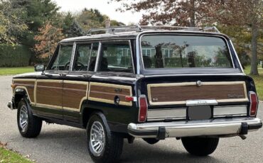 Jeep-Wagoneer-SUV-1988-18