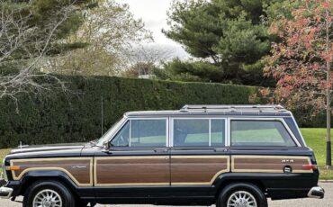 Jeep-Wagoneer-SUV-1988-20