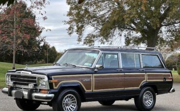 Jeep-Wagoneer-SUV-1988-21