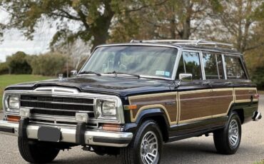 Jeep-Wagoneer-SUV-1988-22