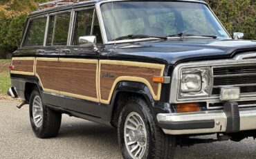 Jeep-Wagoneer-SUV-1988-26