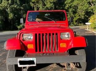 Jeep-Wrangler-4x4-1993-13